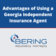 Advantages of Using a Georgia Independent Insurance Agent Blog Post Image